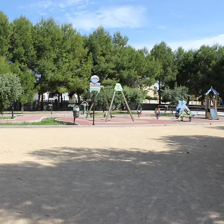 044 Olivar - Fresa * دينايا